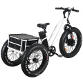 High Quality 3 Wheel 24" Fat Tyre Electric Tricycle for Shopping